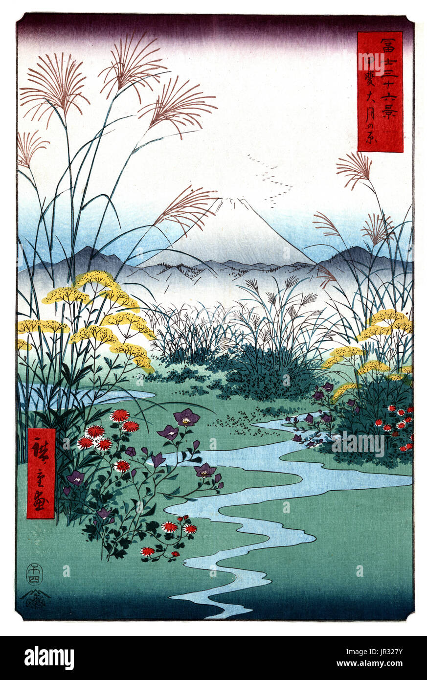 Mount Fuji,Otsuki Wild Flower Fields,1858 Stock Photo