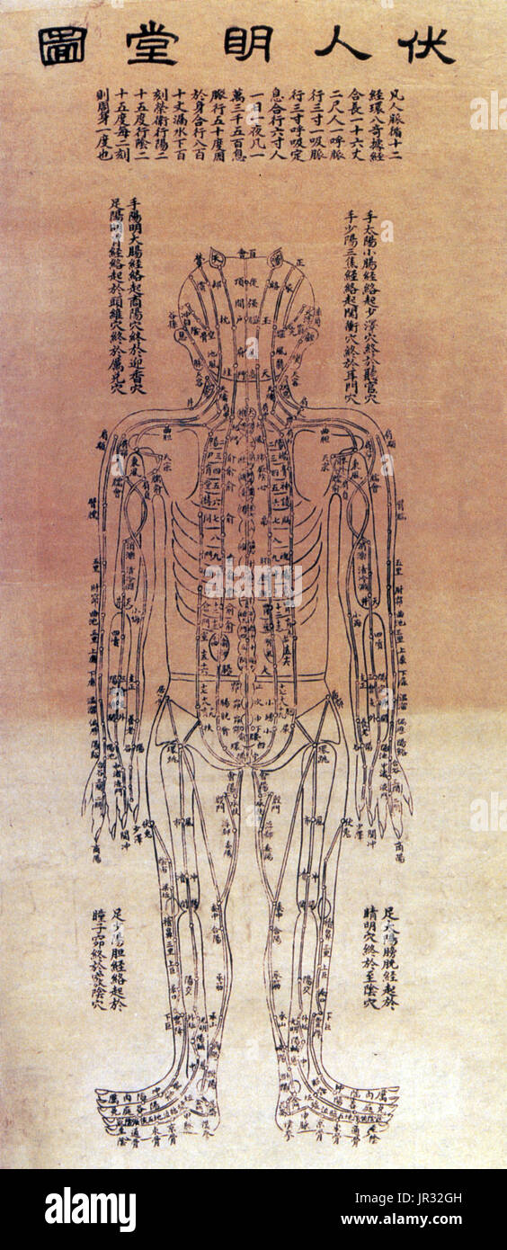 Chinese Acupuncture Chart,1906 Stock Photo