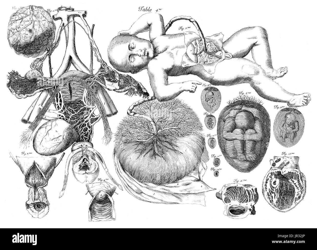 AmÃ© Bourdon,'Nouvelles tables anatomiques',1678 Stock Photo