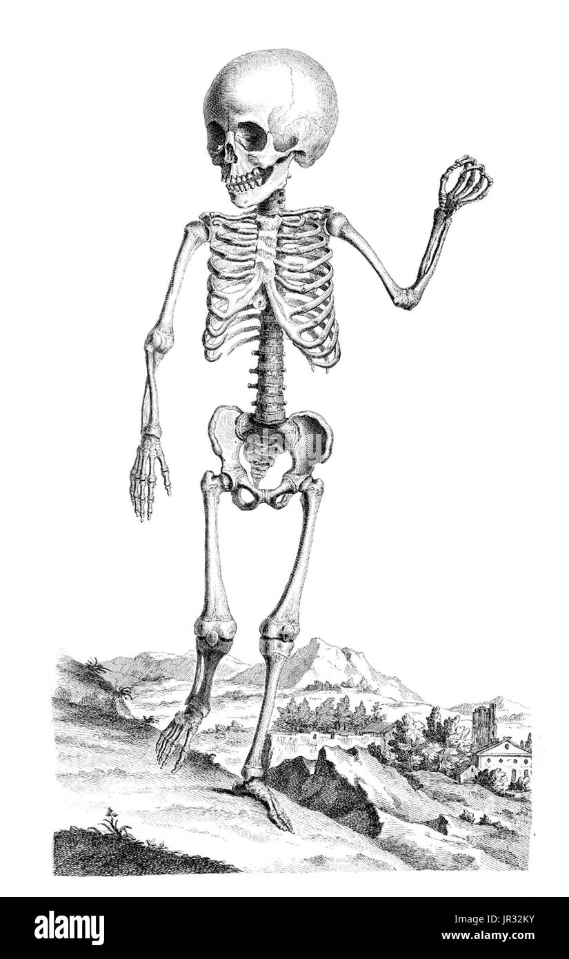 William Cheselden,'Osteographia',1733 Stock Photo