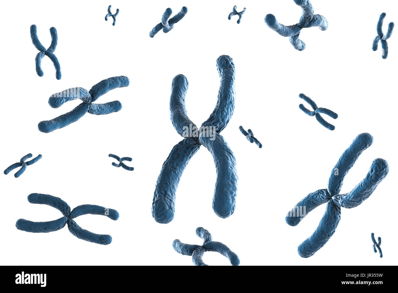 3d rendering blue chromosome on white background Stock Photo
