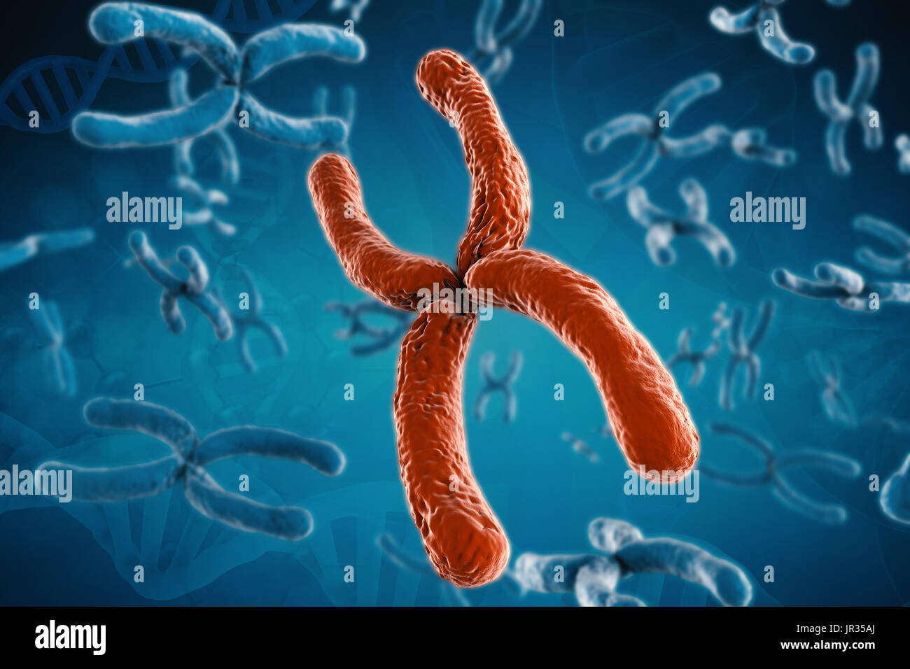 3d rendering red chromosome on blue background Stock Photo