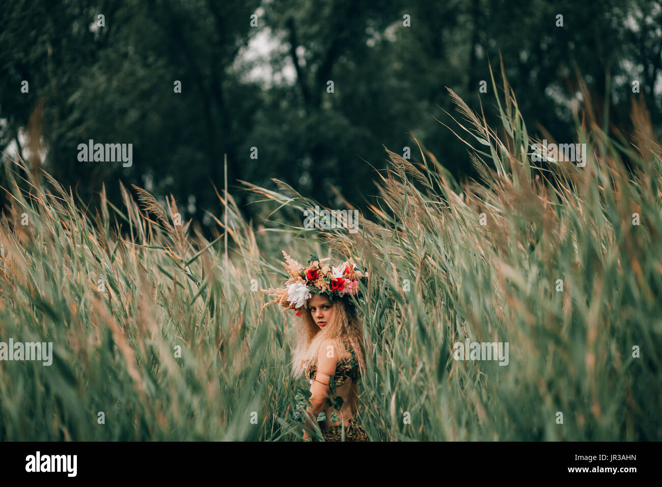 Beautiful little girl in image of nymph with floral head wreath goes among cane and looks back. Stock Photo