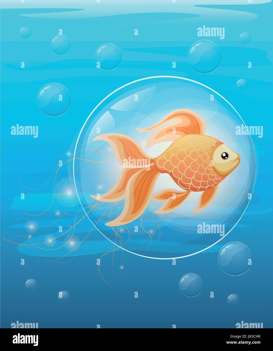 Vector illustration isolated on background Goldfish aquarium fish