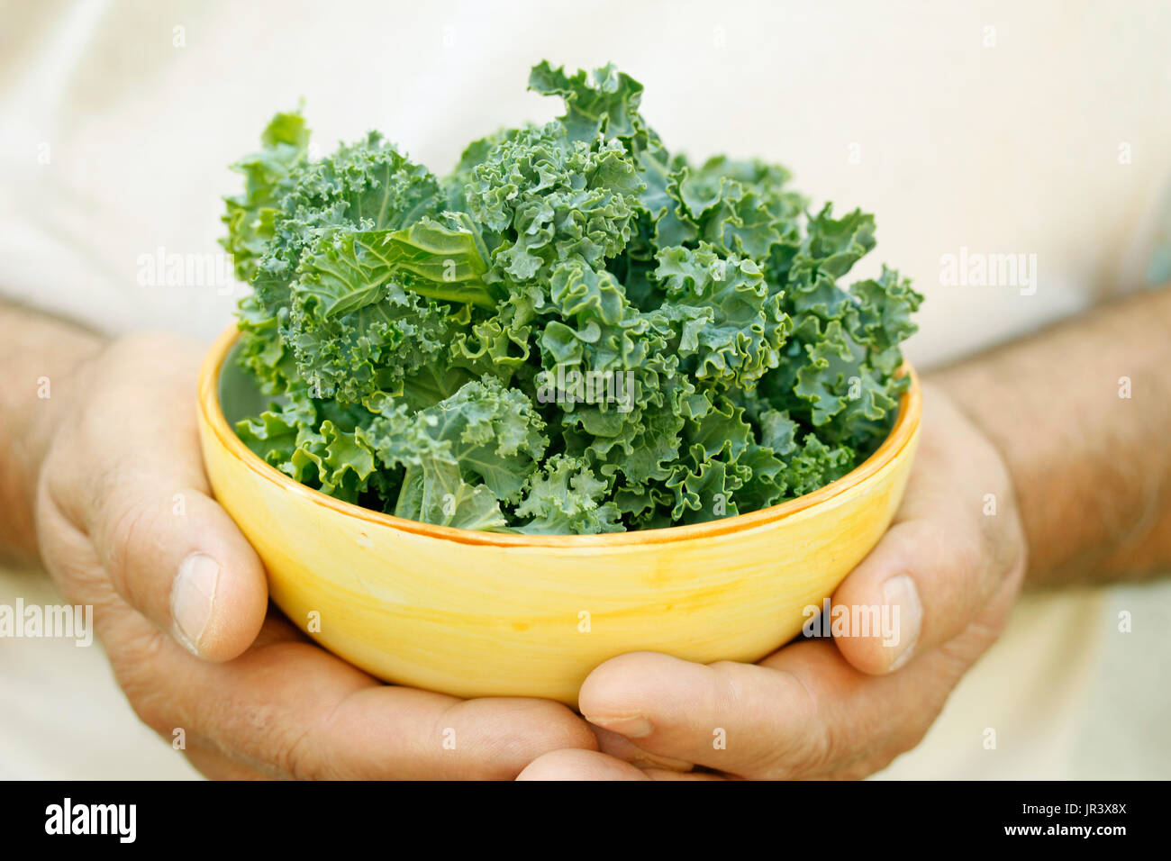 Kale on hands Stock Photo Alamy