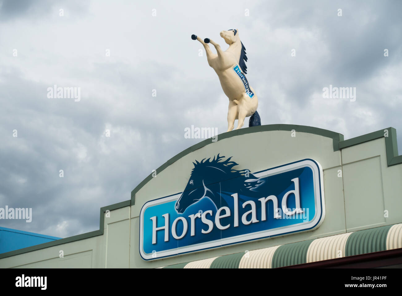 Life size model of rearing horse on a horse supplies shop. Tamworth