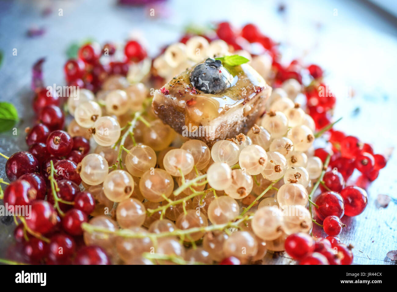 Vegan Cheesecake Bite, Finger sized mini vegan snack Stock Photo