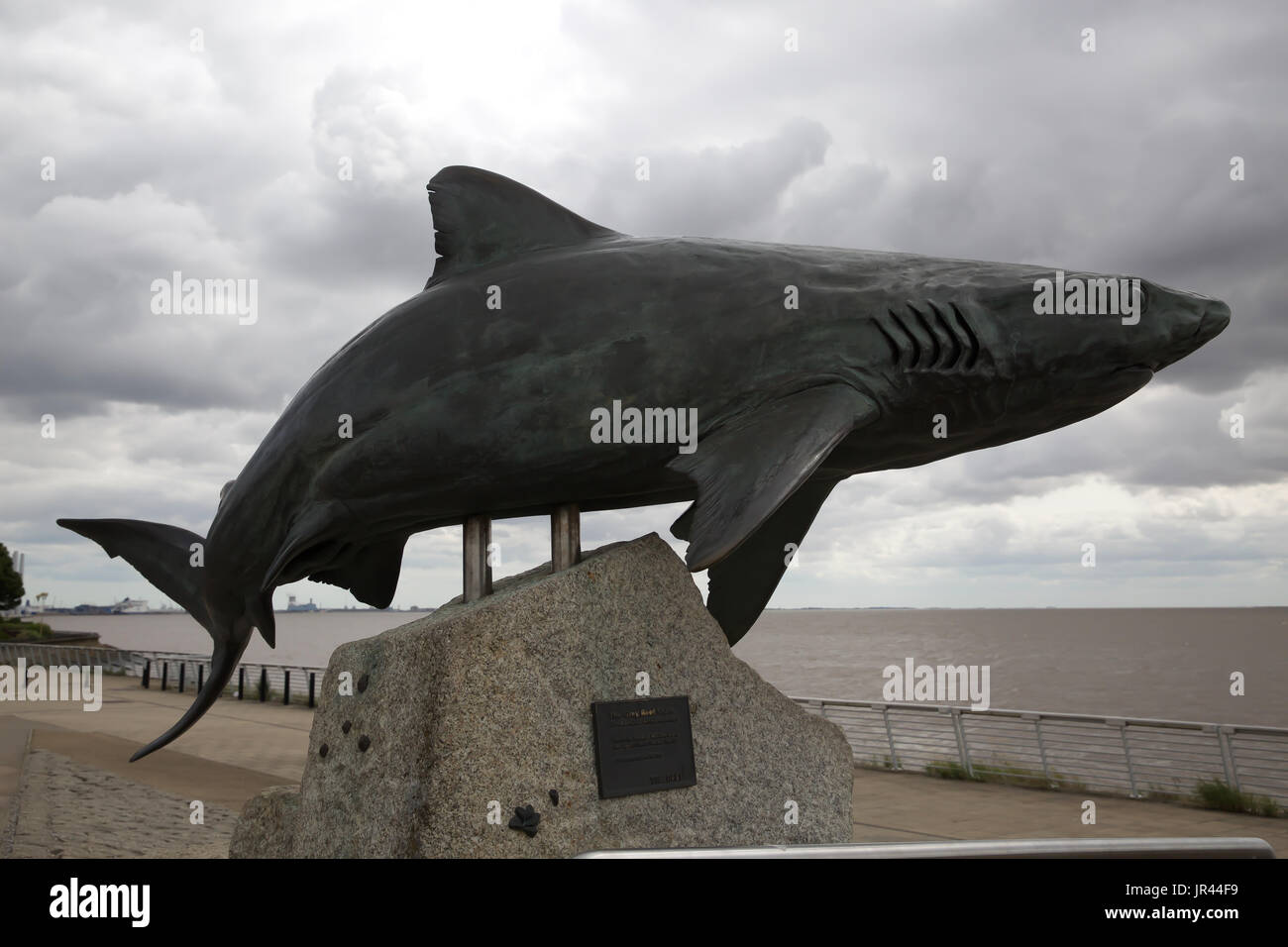 The Deep aquarium in Kingston Upon Hull Stock Photo Alamy