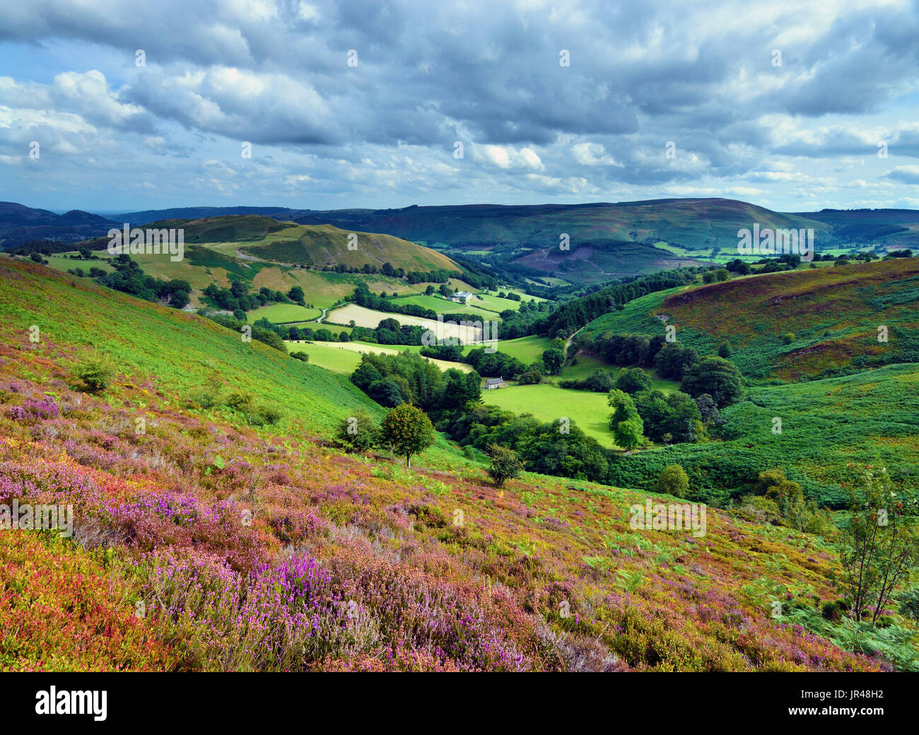 A summer view of the colourful landscape of Clwyd, North Wales, United Kingdom Stock Photo