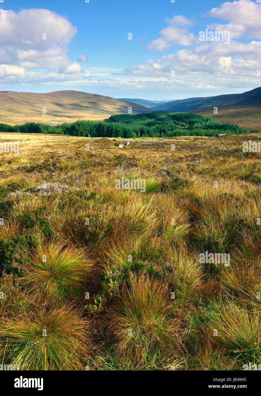 An autumn view of the Wicklow landscape near Laragh, Ireland Stock Photo