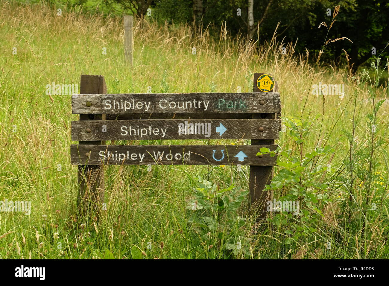 Shipley Country Park Stock Photo