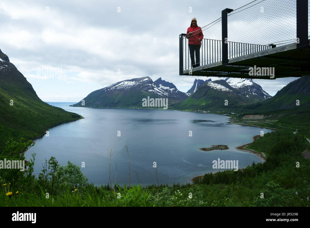 Woman on viewing platform Bergsbotn overlooking Bergsfjord, island Senja, Troms, Norway Stock Photo