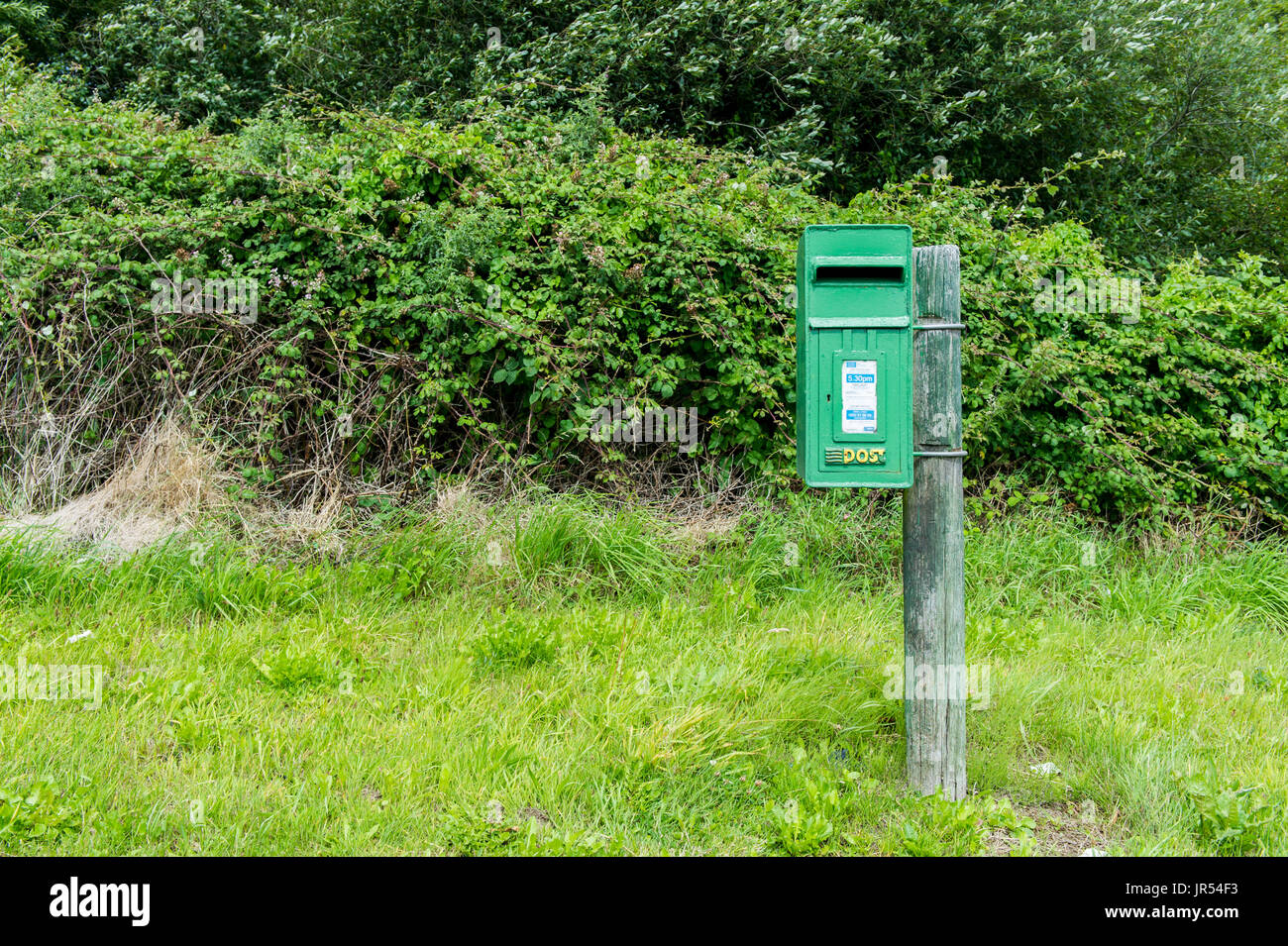 An Post postbox in a rural location in Ireland with copy space. Stock Photo