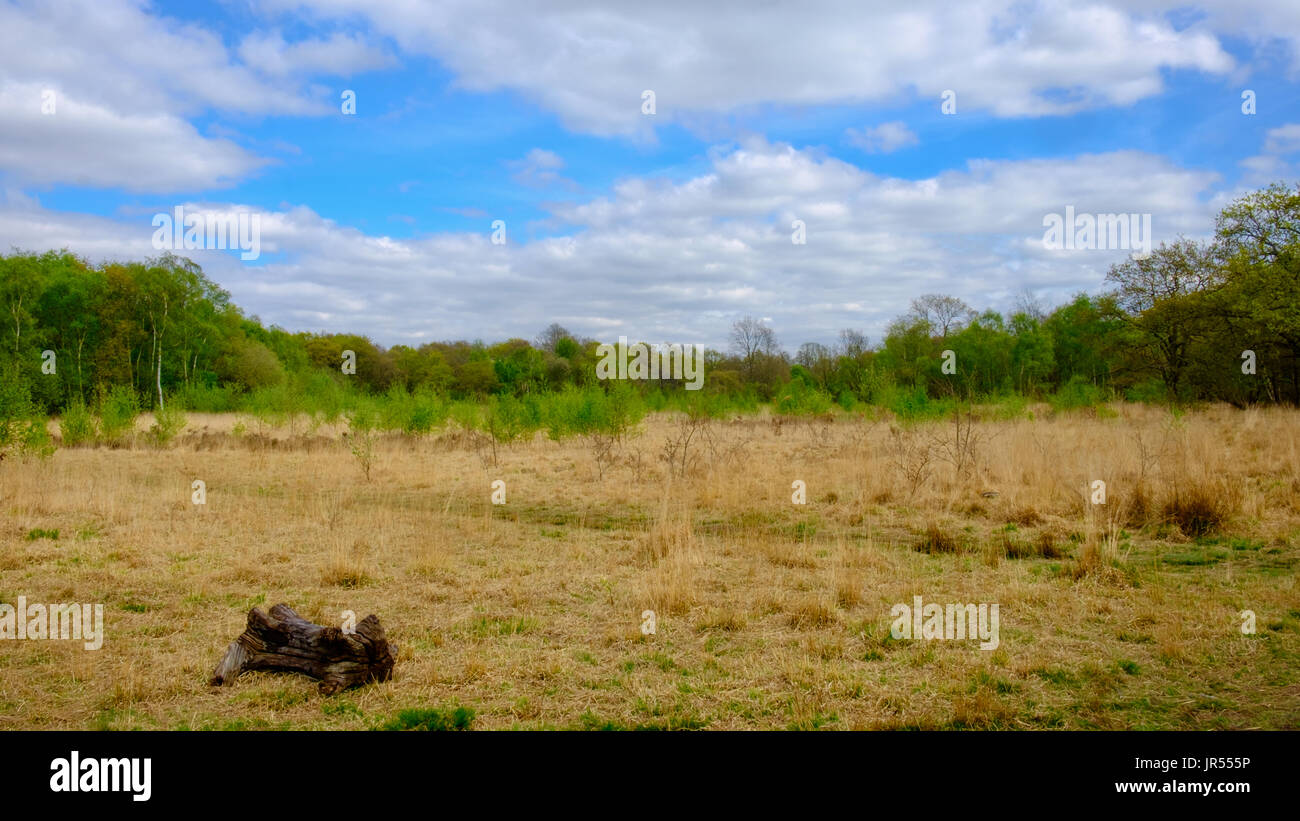 Wimbledon common hires stock photography and images Alamy