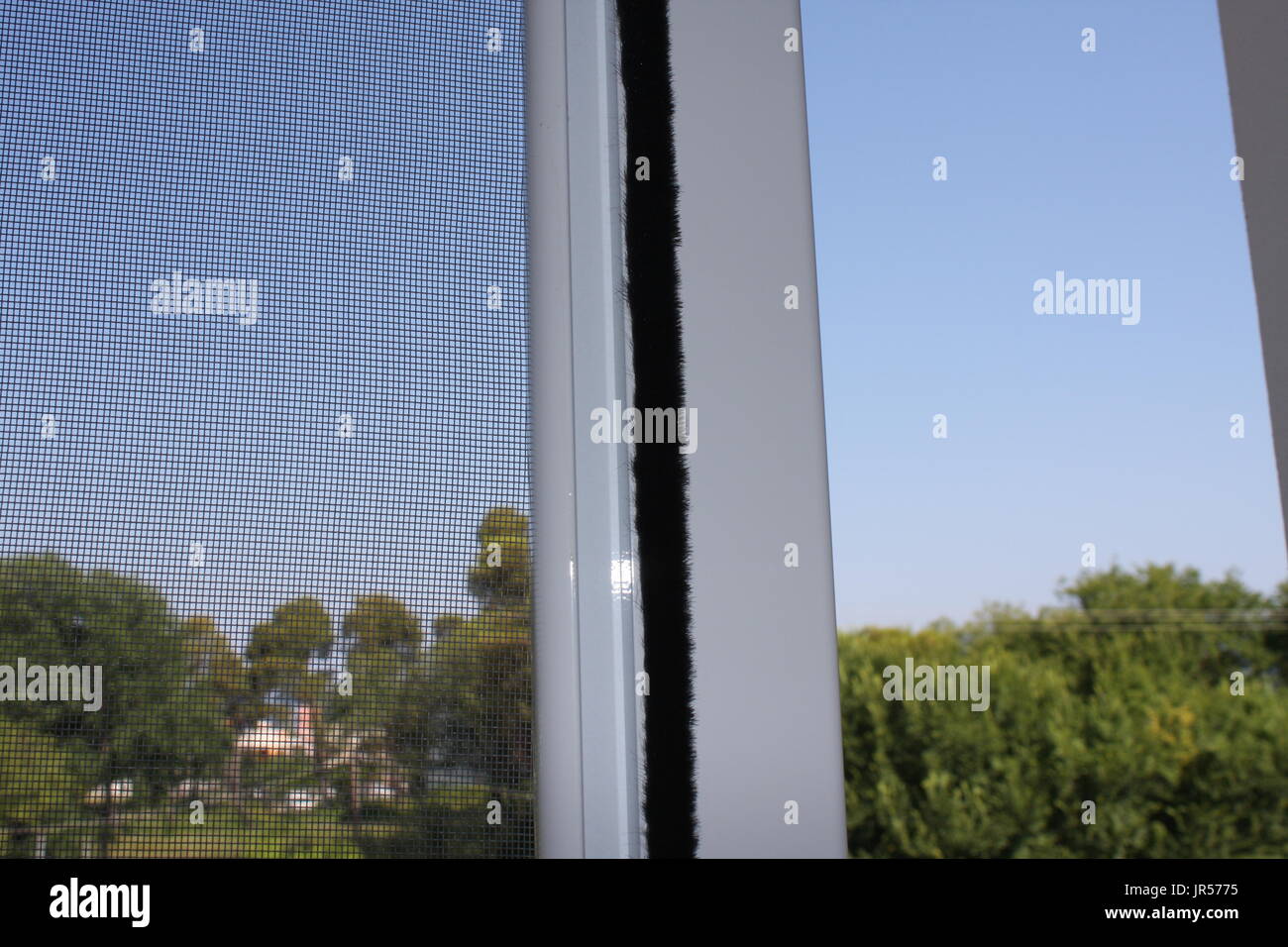 Installing mosquito nets for plastic windows Stock Photo Alamy