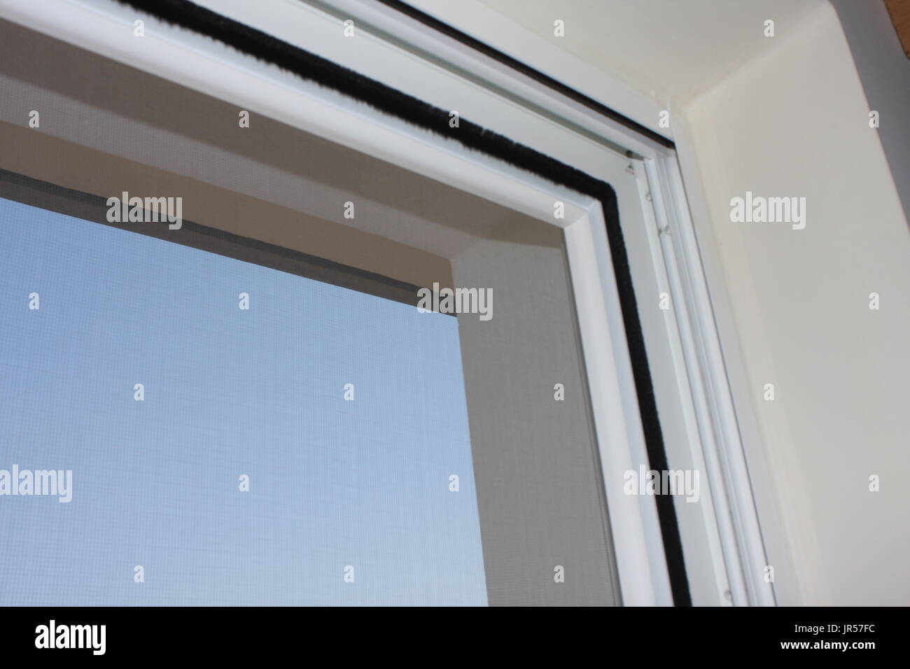 Installing mosquito nets for plastic windows Stock Photo Alamy