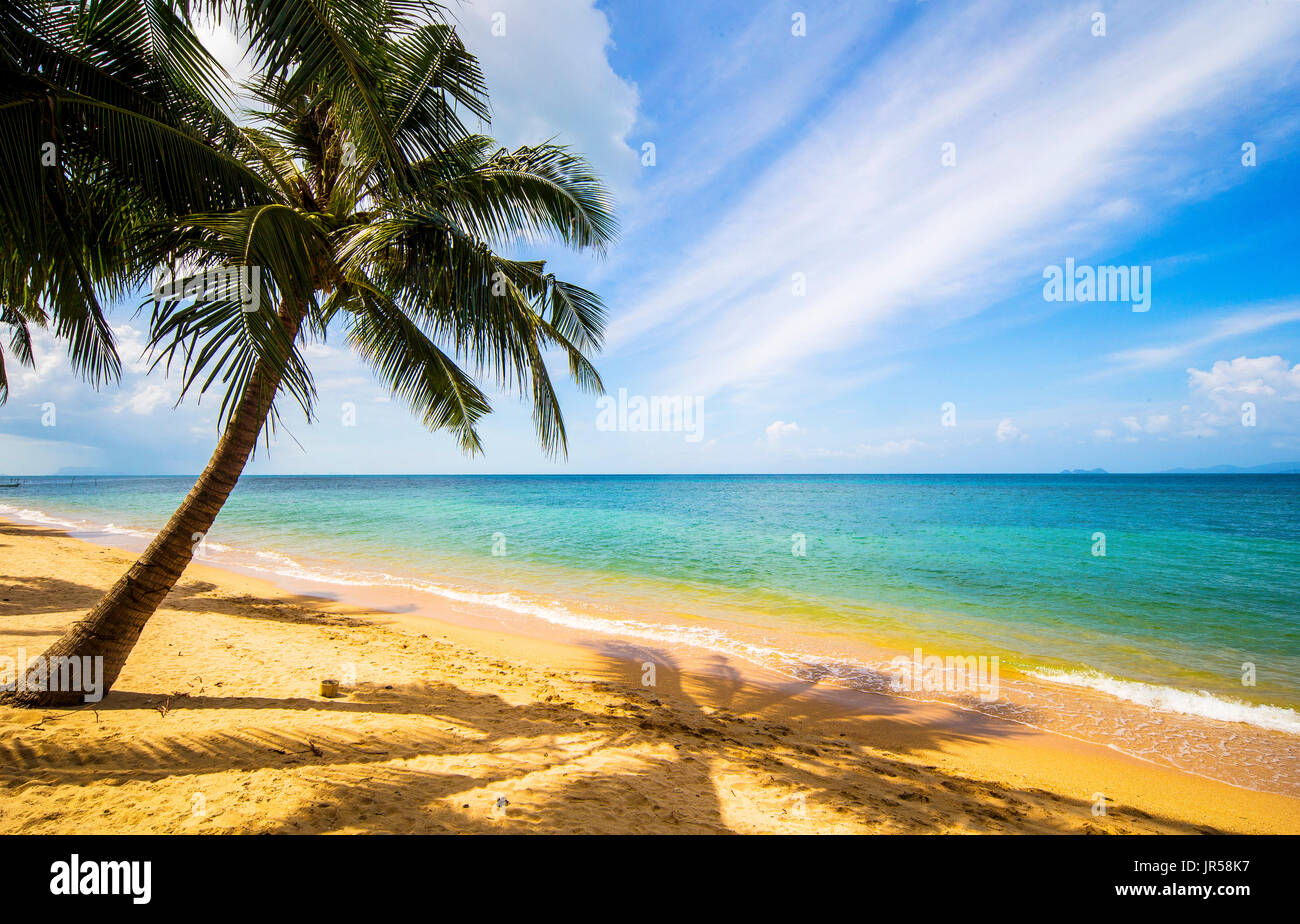 Chang wat surat thani hi-res stock photography and images - Alamy