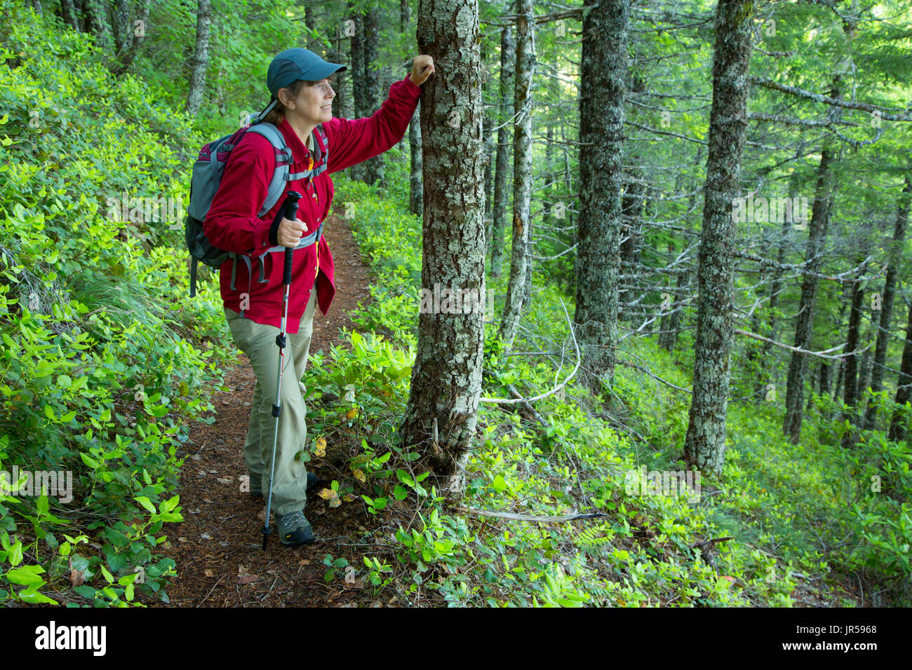 Opal creek wilderness hot sale hike