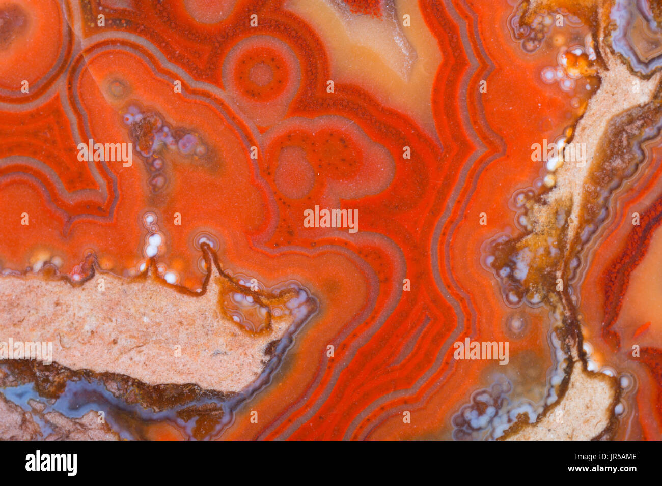 Dryhead Agate Stock Photo