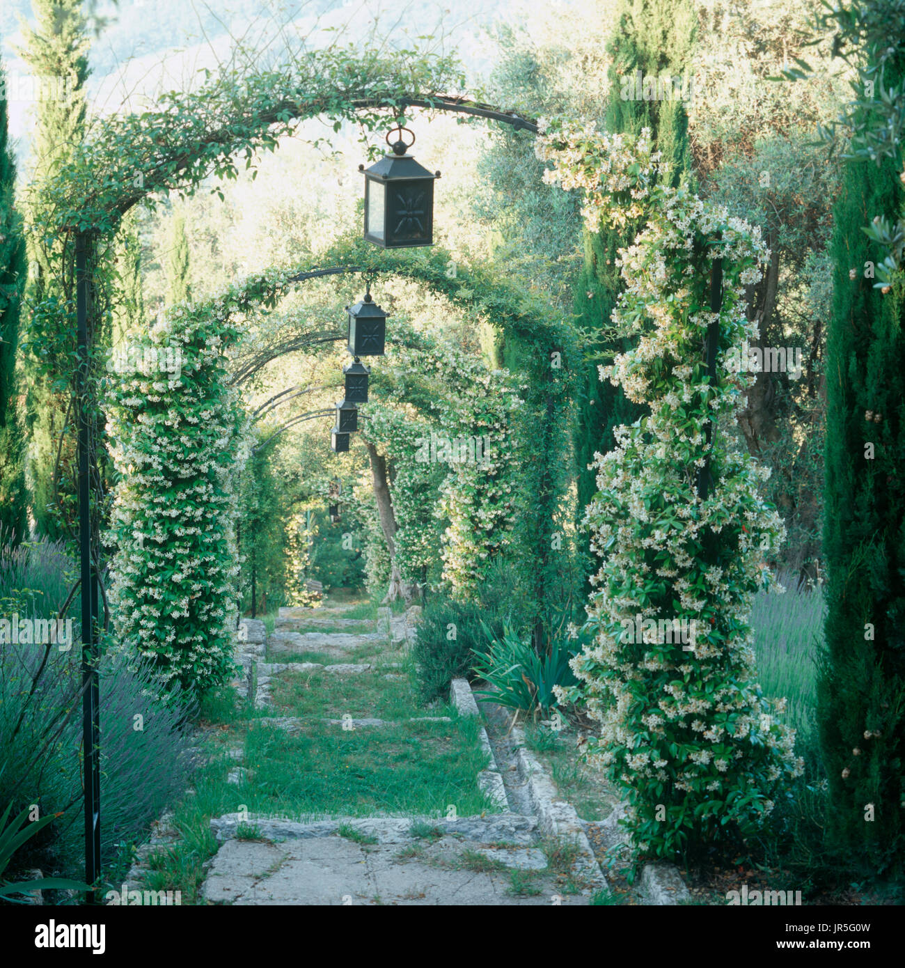 Vines over arches with lanterns Stock Photo