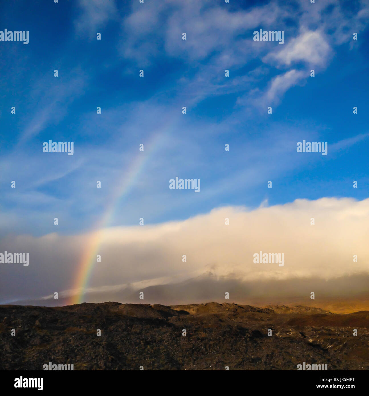 Featured image of post Real Rainbow Images Of Nature Beauty / Watching the rainbow makes me feel as if a beautiful arrangement of colors spread all over the sky to make colorful wood background with a shadow in the form of heart.