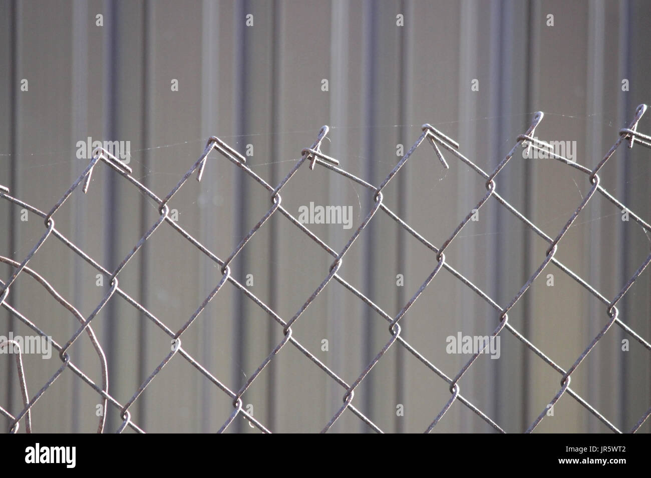 metal brown gates with a pattern in the form of curls covered with ...