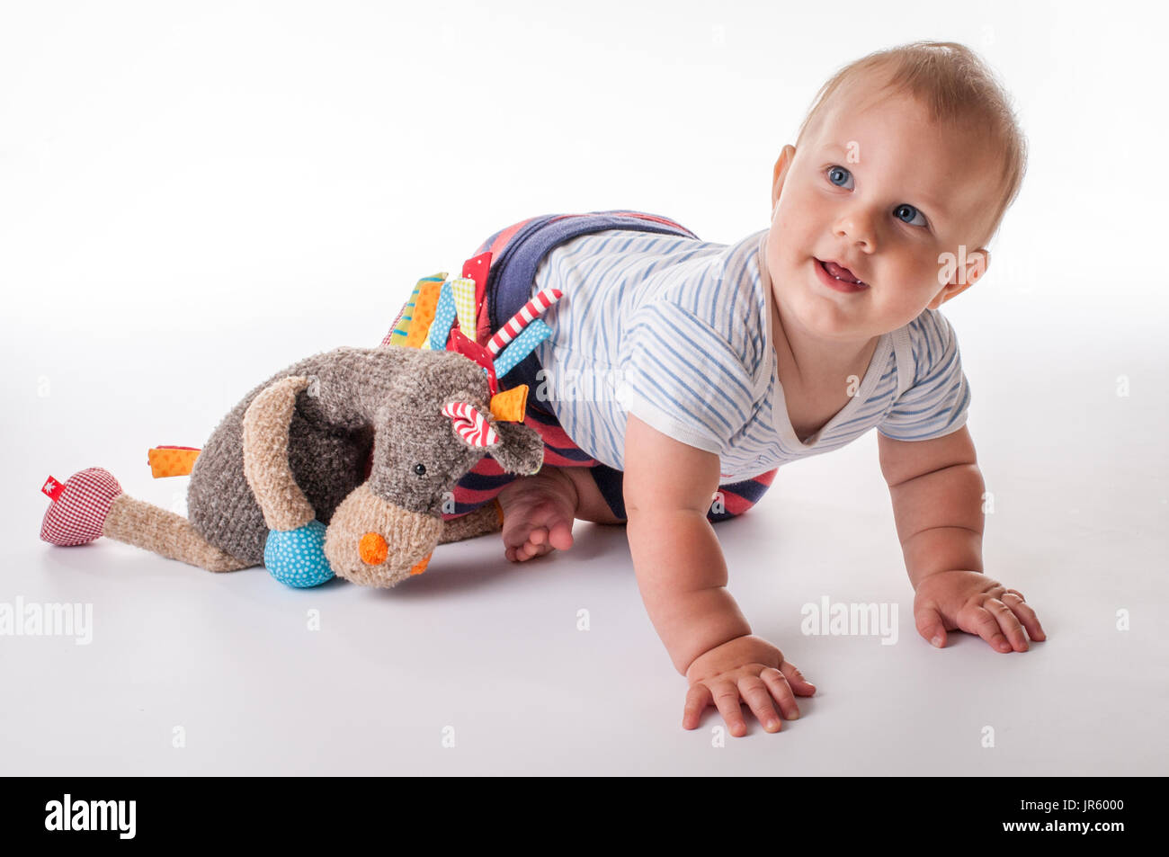Crawling toddler with soft toy with white background - high key studio family photo Stock Photo