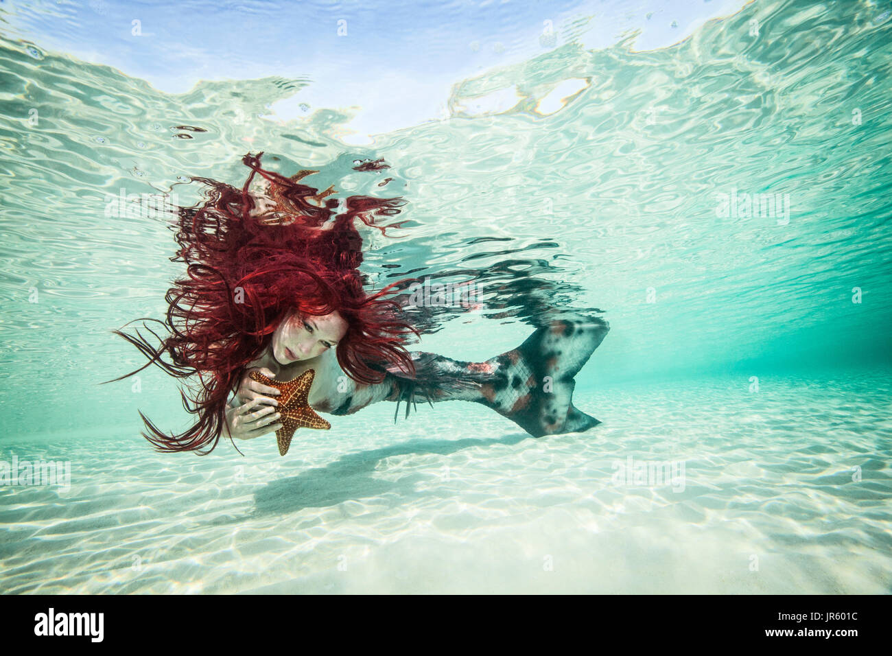 Redhead mermaid and her sea star companion, Nassau Stock Photo