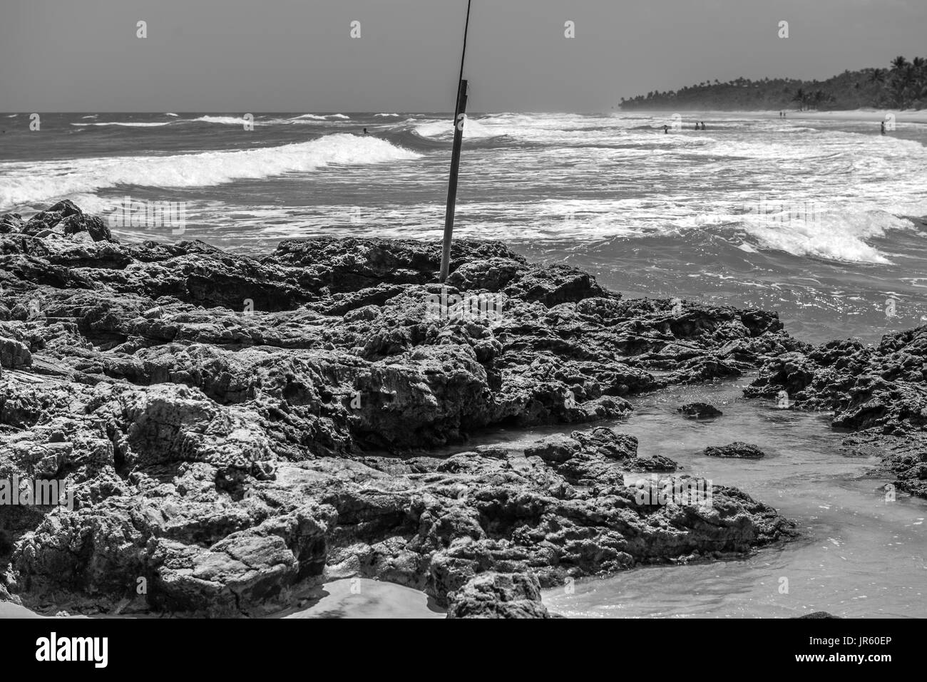 Summer holiday daylight beach scene tropical paradise vacation on coast