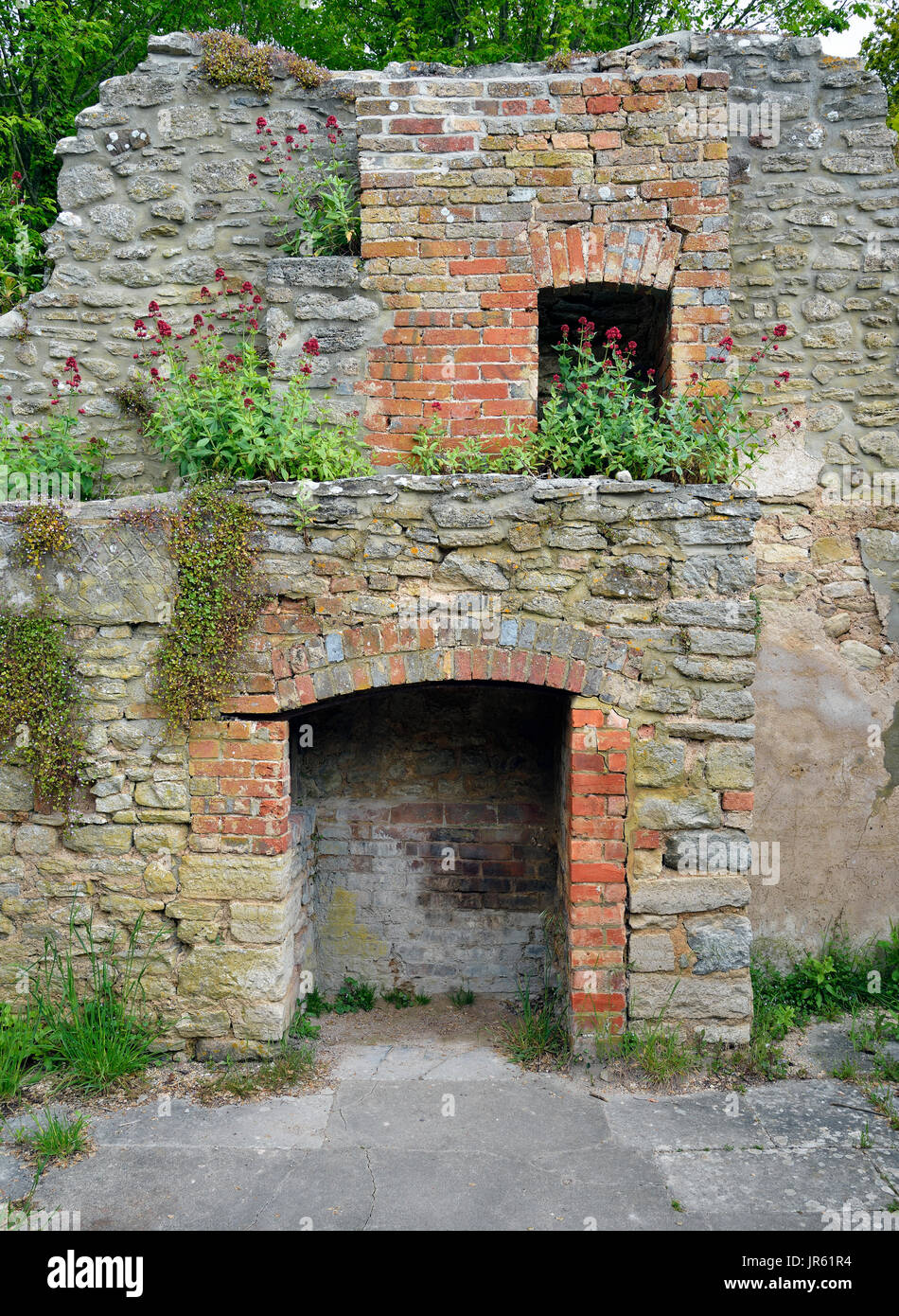 Old Fireplaces in ruined cottage wall; Post Office Row, Tyneham, Dorset Overgrown with Ivy-leaved Toadflax - Cymbalaria muralis, and Red Valerian - Ce Stock Photo