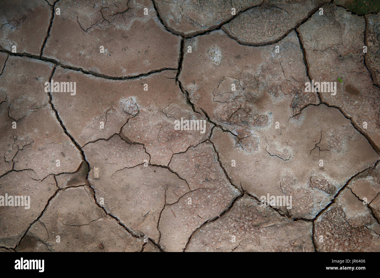 dry mud background texture. Global Warming Stock Photo
