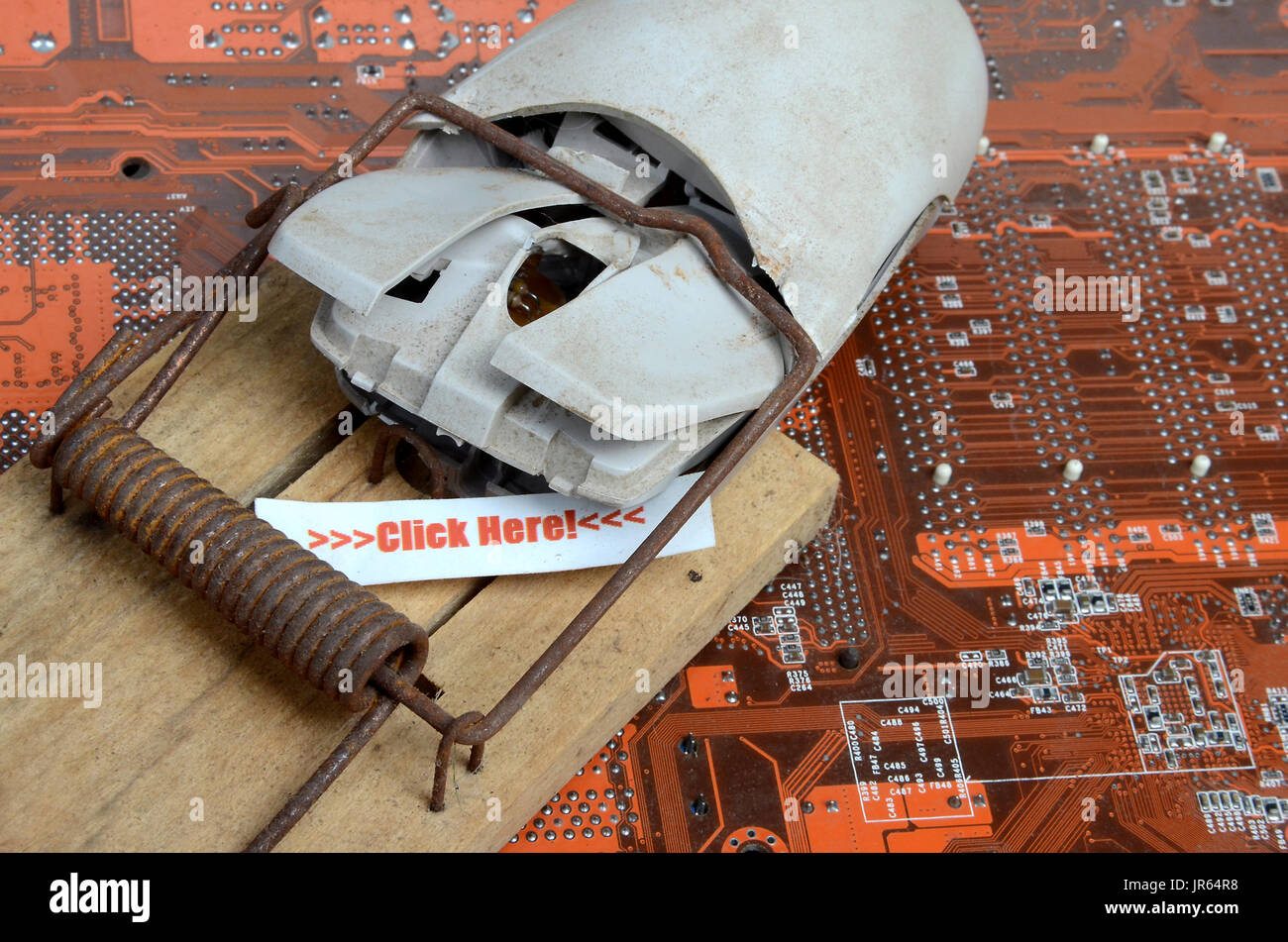 Computer mouse caught in trap. Stock Photo