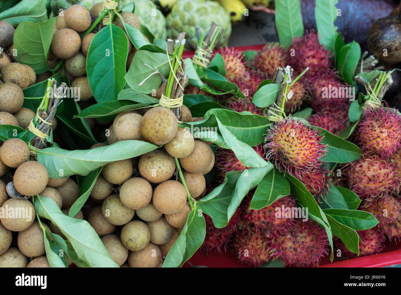Vietnam tropical fruits hi-res stock photography and images - Alamy