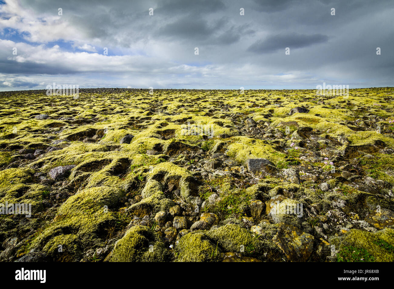 MOS MOSH Landscape Scarf Skyway main image 1