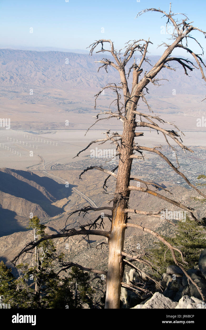 View from the top of the Palm Springs Aeriel Tramway, at the lookout point on San Jacinto State Park. Stock Photo