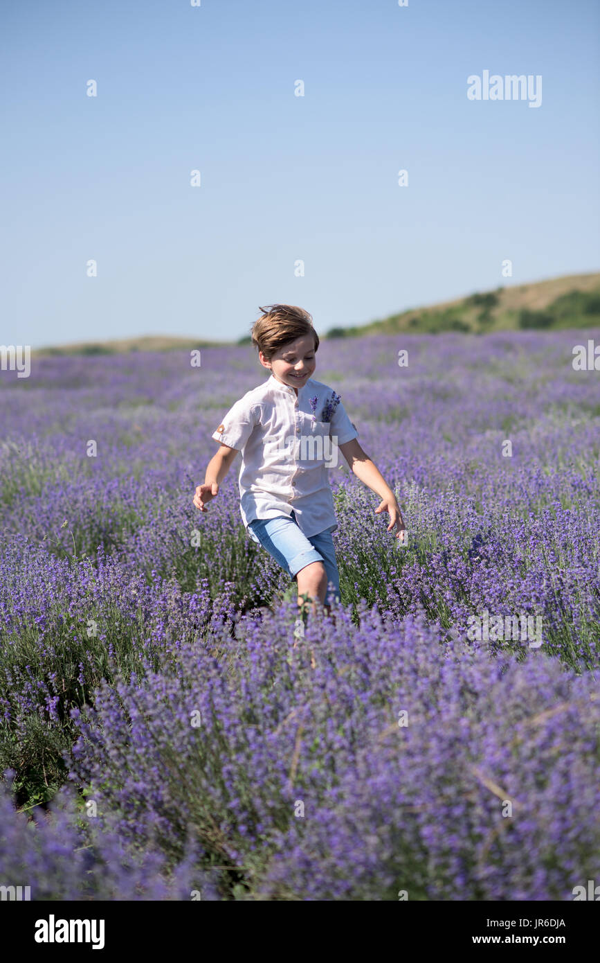 Boy running through a lavender field Stock Photo