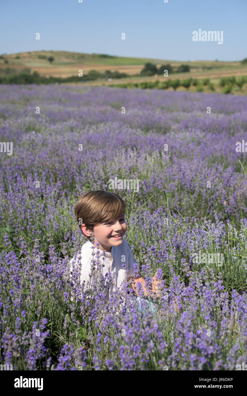 Smiling Boy sitting in a lavender field smelling flowers Stock Photo