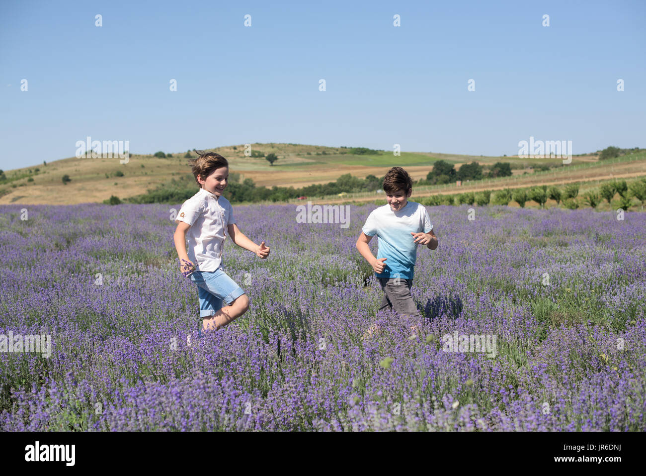 Two boys running through a lavender field Stock Photo