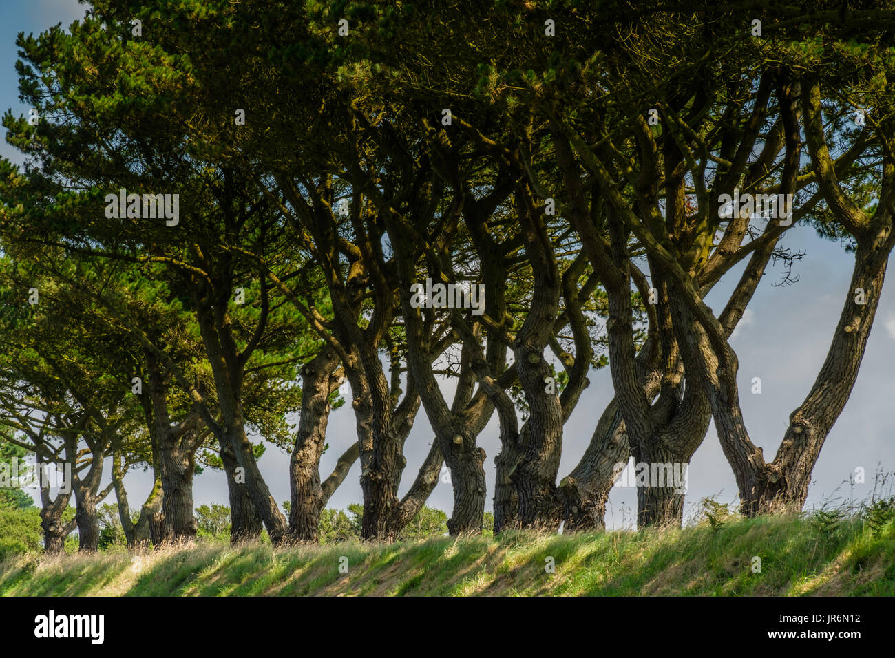 Mathry, pembrokeshire hires stock photography and images Alamy