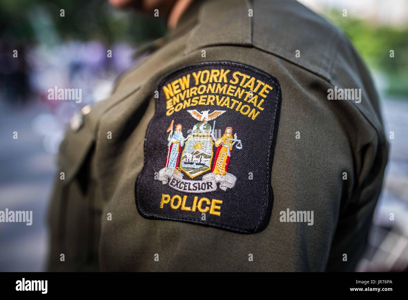 New york state department of environmental conservation hires stock