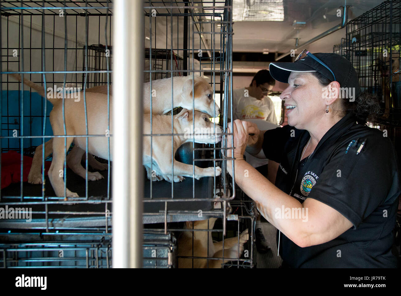 West Palm Beach, Florida, USA. 3rd Aug, 2017. Daisy Blakeman gives some  puppies attention as they are loaded on a bus at Palm Beach County Animal  Care and Control headed for a