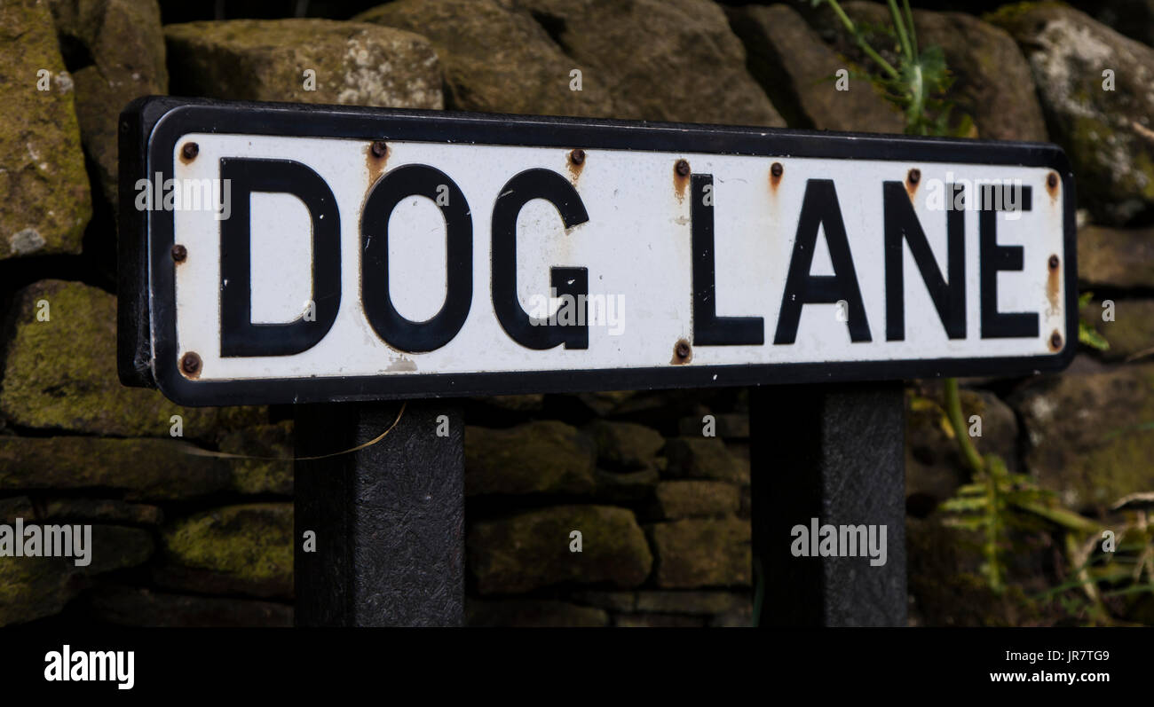 Dog names hires stock photography and images Alamy