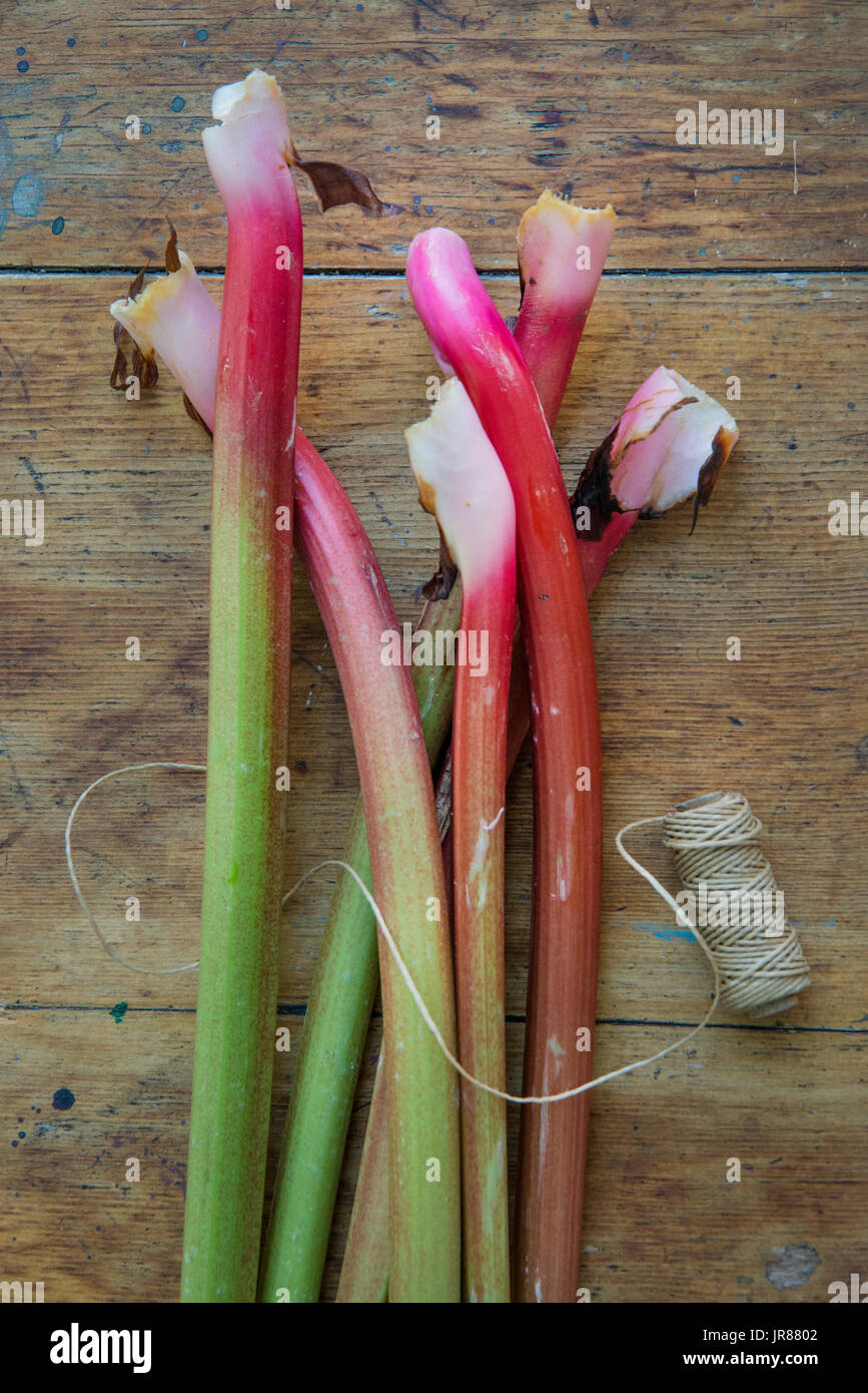 Rhubarb stalks and string Stock Photo