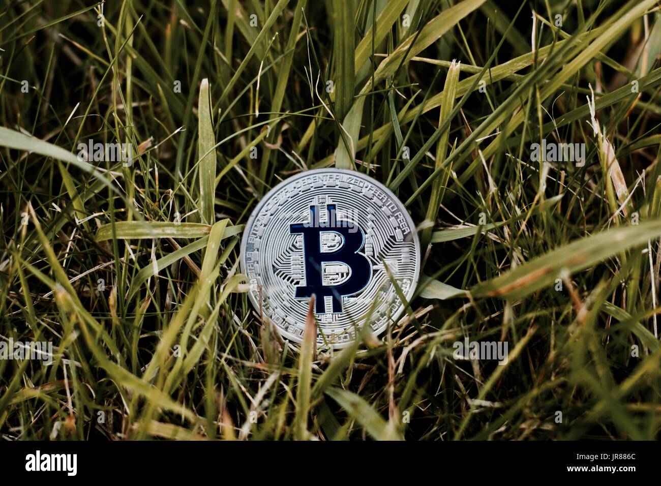 Digital currency physical metal bitcoin coin. Virtual money concept ...