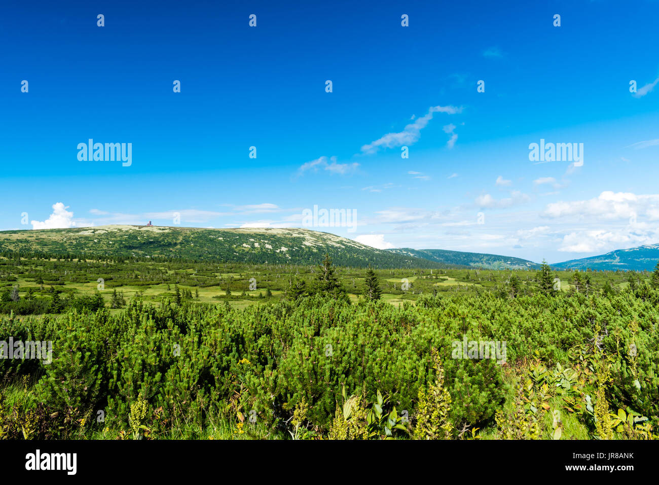 Beautiful mountain landscape and meadows on summer sunny day. Nice blue cloudy sky. The view from mountains in Krkonose National Park. Stock Photo