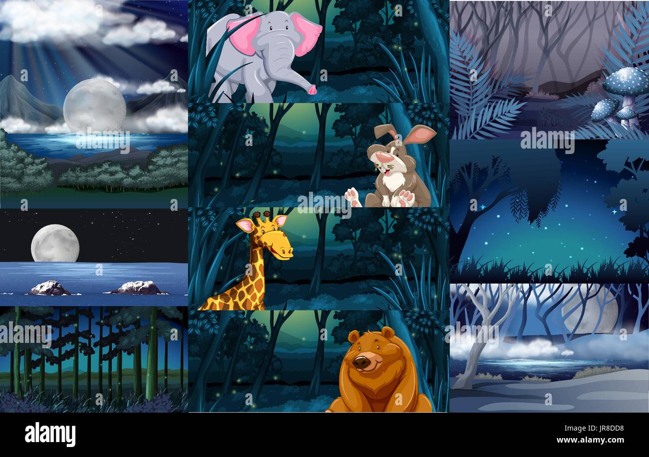 Wild animals in the forest illustration Stock Vector Image & Art - Alamy