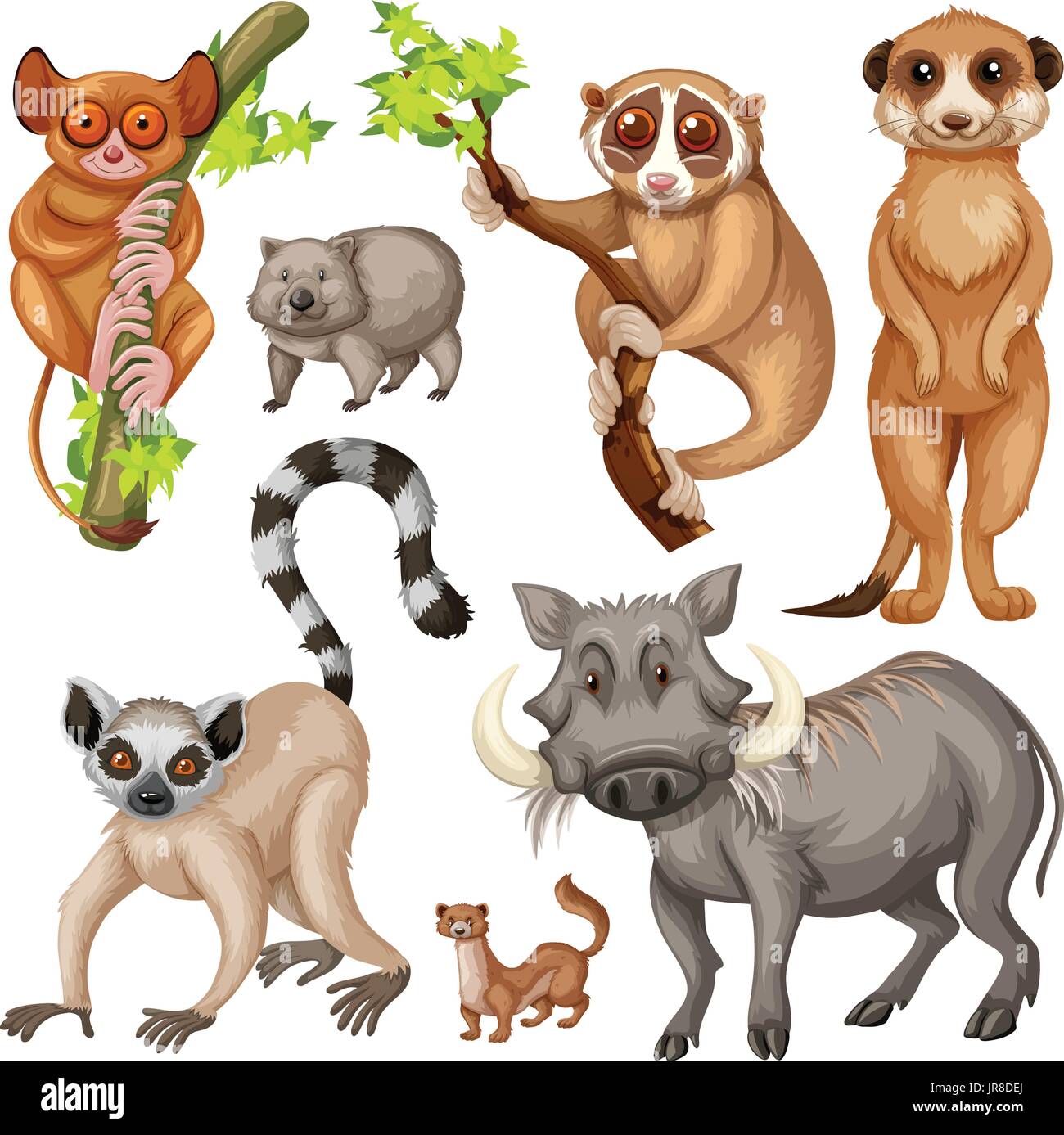 Different types of wild animals on white background illustration Stock  Vector Image & Art - Alamy