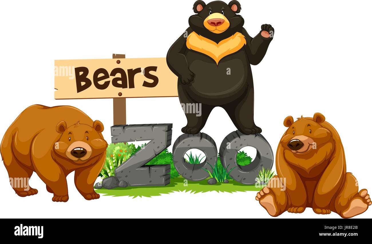 Three bears in the zoo illustration Stock Vector Image & Art - Alamy