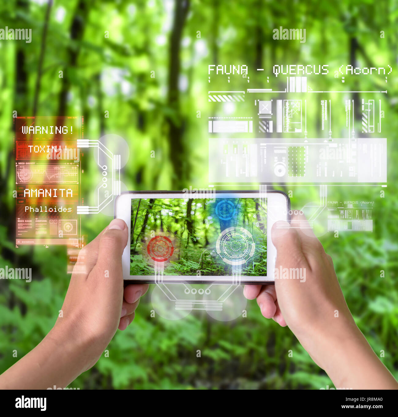 Woman using a smart device with reality augmentation graphical overlays in nature to understand the environment and plants Stock Photo