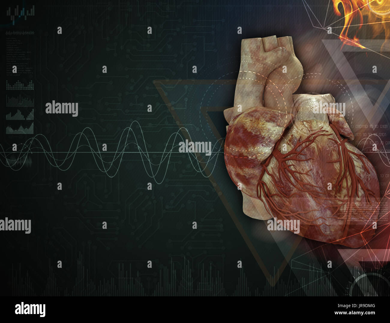 3d rendered medical illustration of a human heart Stock Photo - Alamy